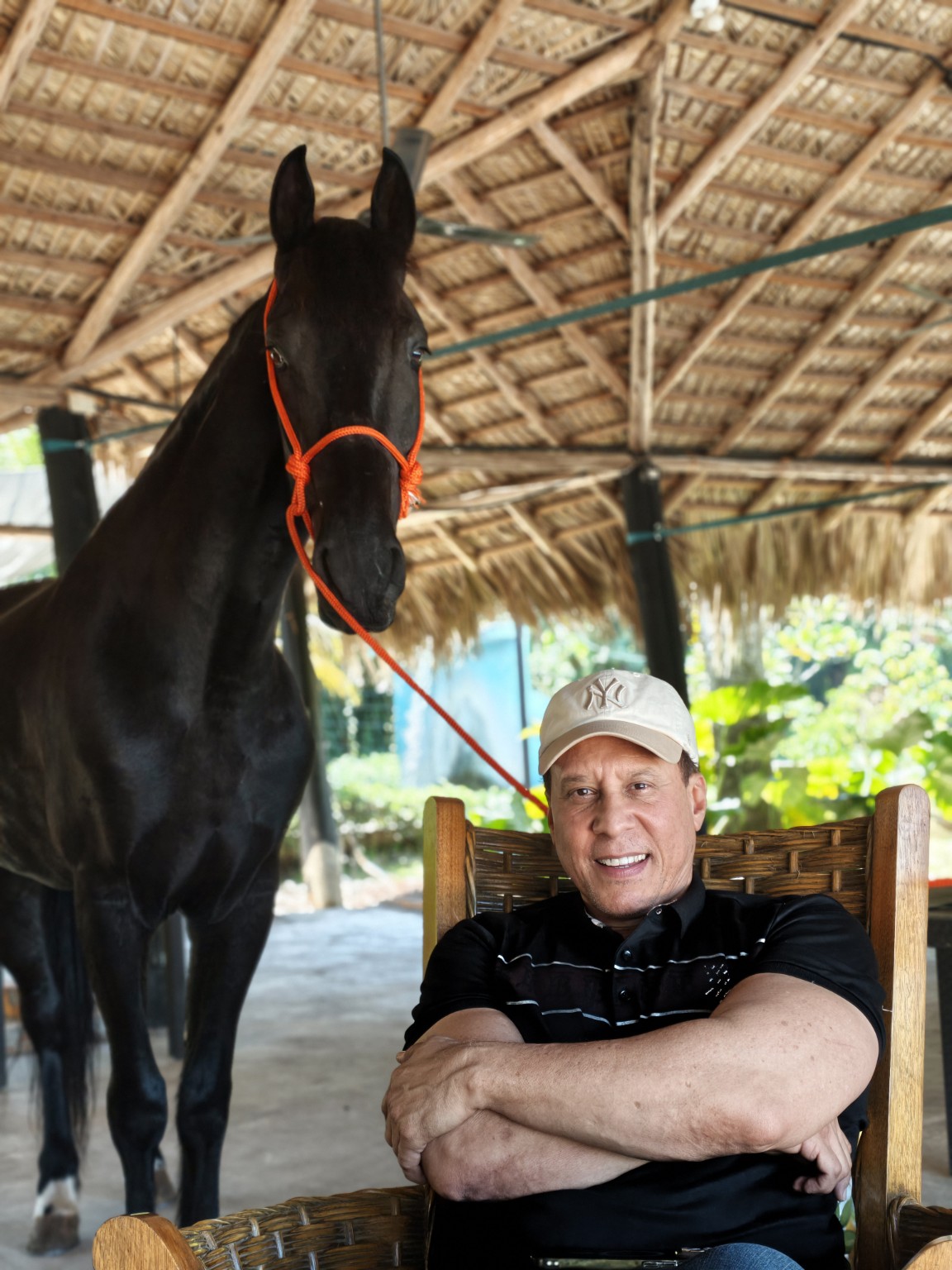 Visitante sentado junto a un caballo negro bajo el gazebo